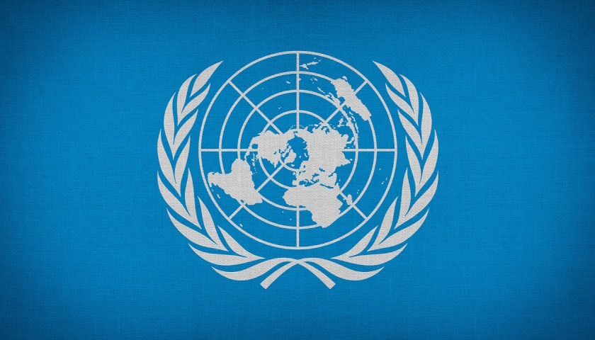 OSN AI rezoluce