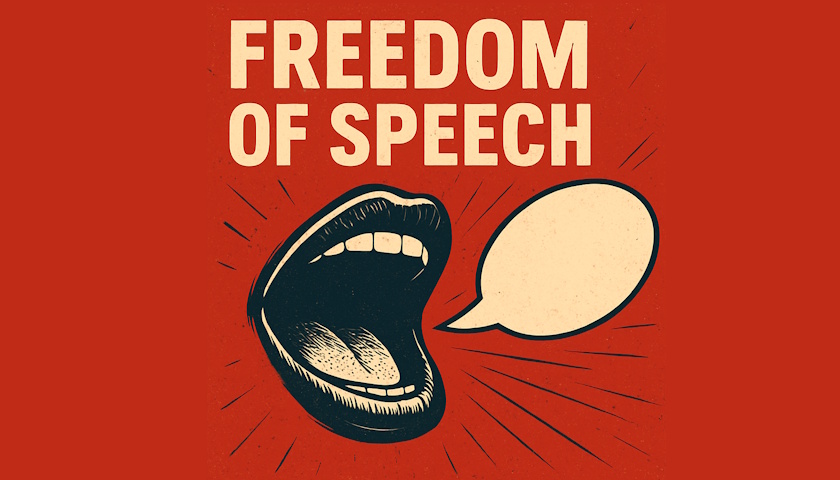 Omezování svobody slova na internetových platformách